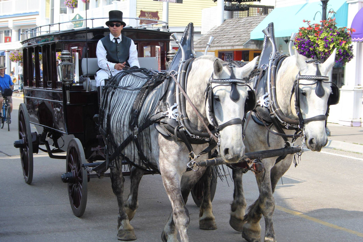 Mackinac Island Horses