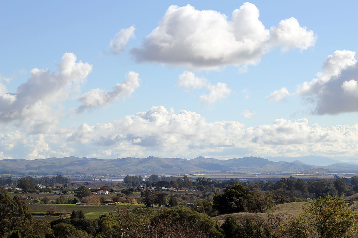 Napa