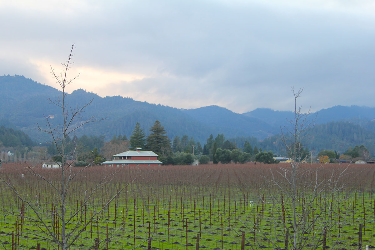 Napa