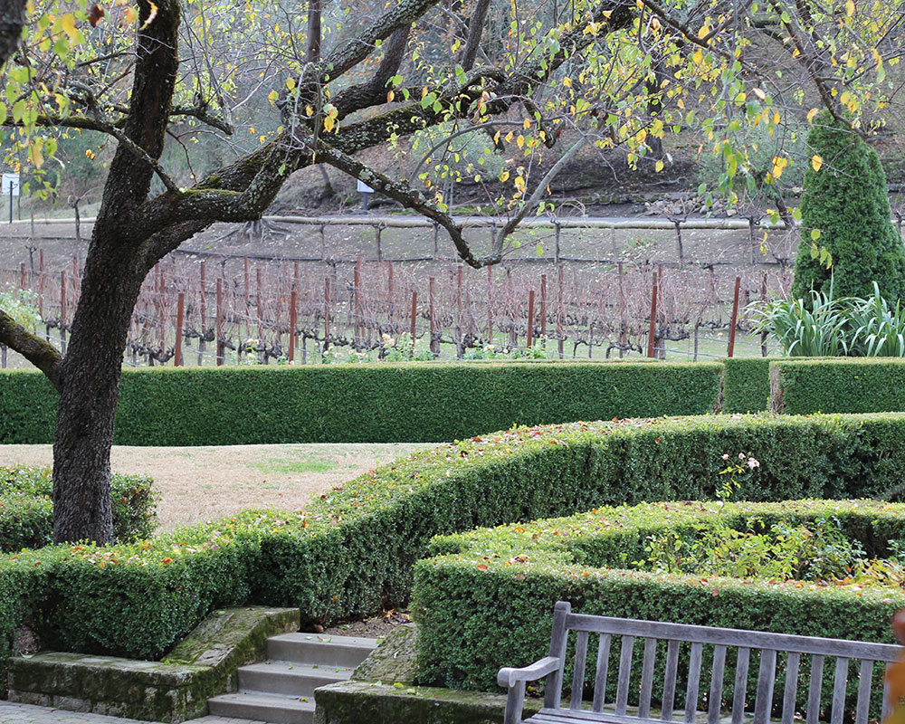 Napa